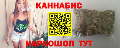 гашик Будённовск